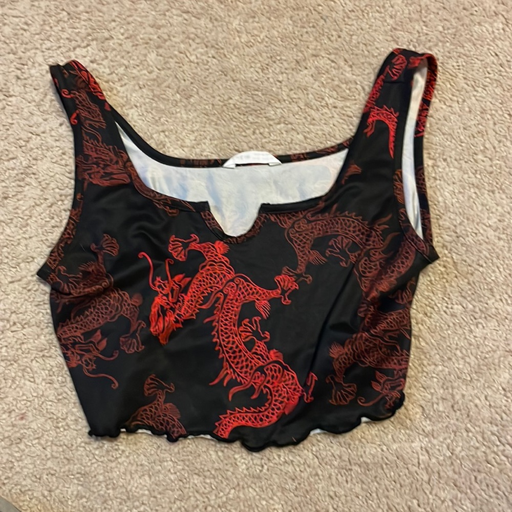 Crop top with dragons on it